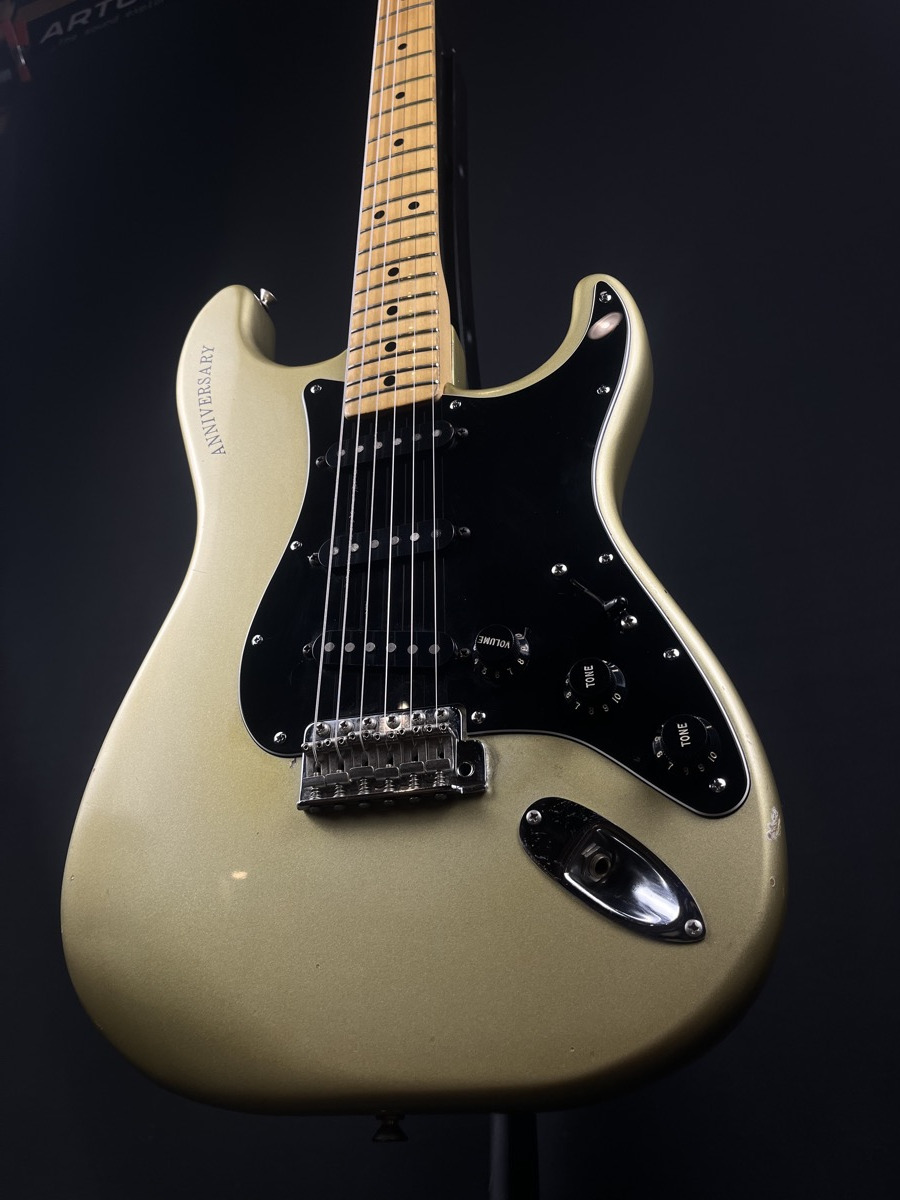 Fender 1979 25th Anniversary Stratocaster Silver w/OHSC &mdash; view 12
