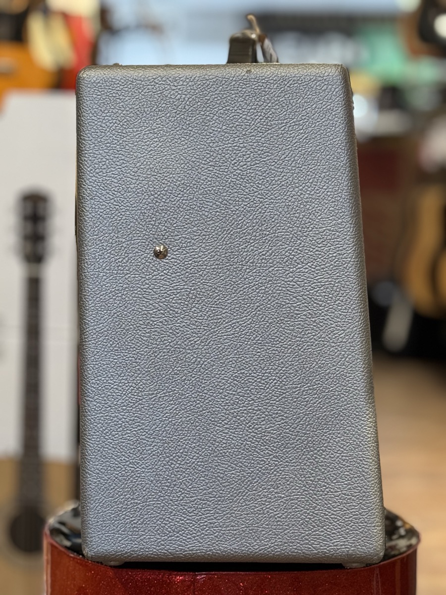 Fender Blues Junior III FSR Silver w/Celestion Vintage 30 Speaker &mdash; view 7