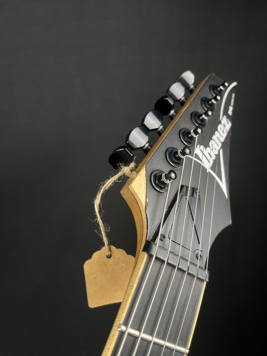Ibanez RGEW521 RG Electric Guitar In Natural Flat Ziricote &mdash; view 11
