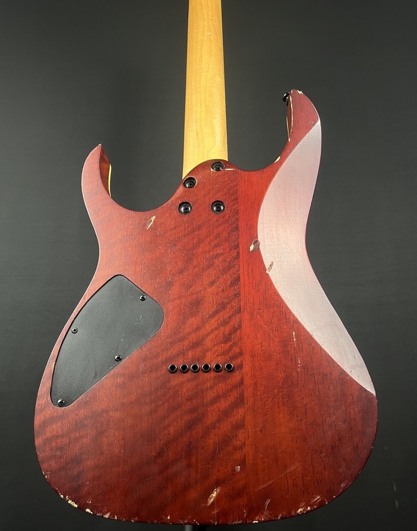 Ibanez RGEW521 RG Electric Guitar In Natural Flat Ziricote &mdash; view 14
