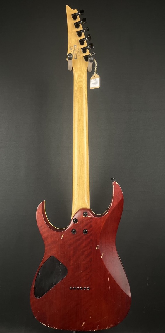 Ibanez RGEW521 RG Electric Guitar In Natural Flat Ziricote &mdash; view 5