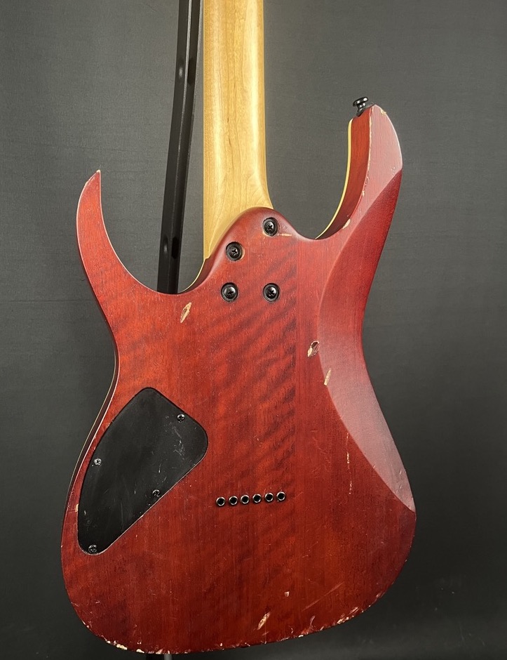 Ibanez RGEW521 RG Electric Guitar In Natural Flat Ziricote &mdash; view 6