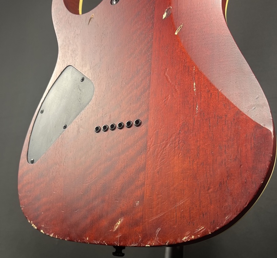 Ibanez RGEW521 RG Electric Guitar In Natural Flat Ziricote &mdash; view 8