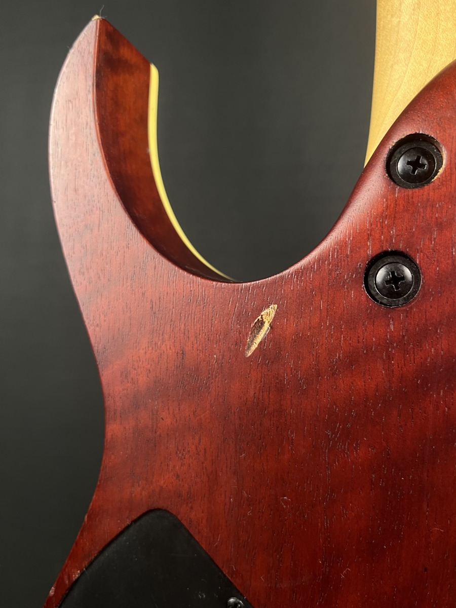 Ibanez RGEW521 RG Electric Guitar In Natural Flat Ziricote &mdash; view 10