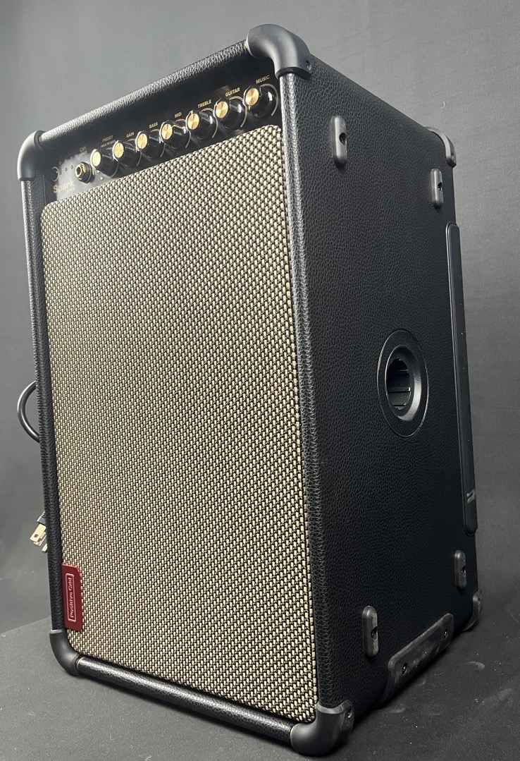 Positive Grid Spark Live 150w 4-Channel Combo PA System &mdash; view 4