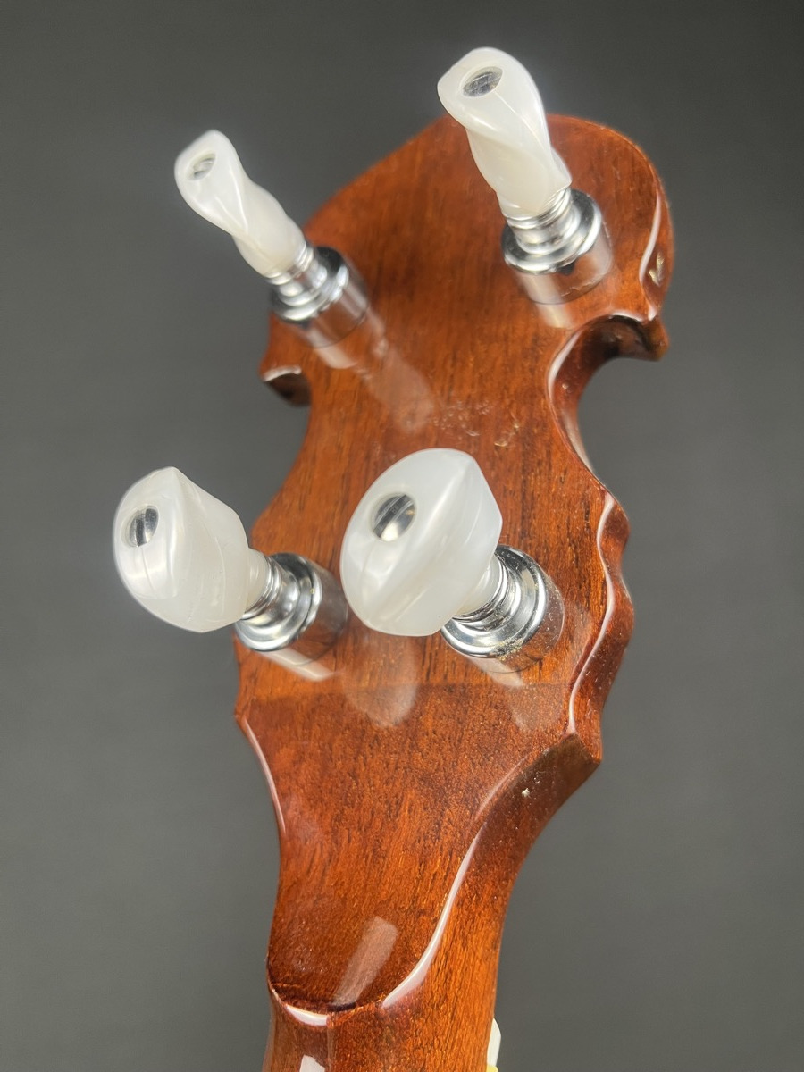 Washburn B-12 5 String Banjo - CONSIGNMENT &mdash; view 6