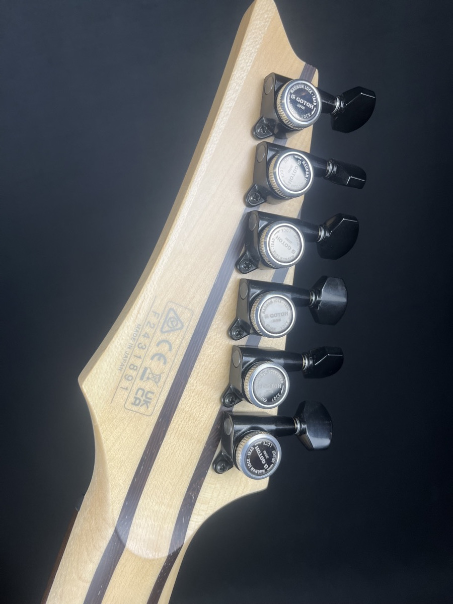 Ibanez RGD3121PRF Polar Lights Flat Prestige w/OHSC &mdash; view 8