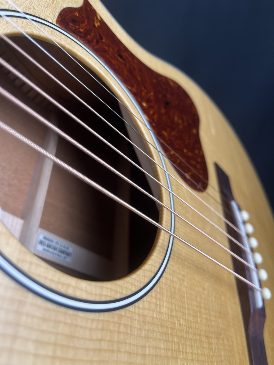IRIS RCM-000 12th Fret Acoustic w/OHSC - CONSIGNMENT &mdash; view 8