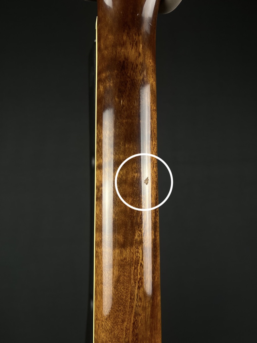 Epiphone 2007 Les Paul Standard Honey Burst &mdash; view 9