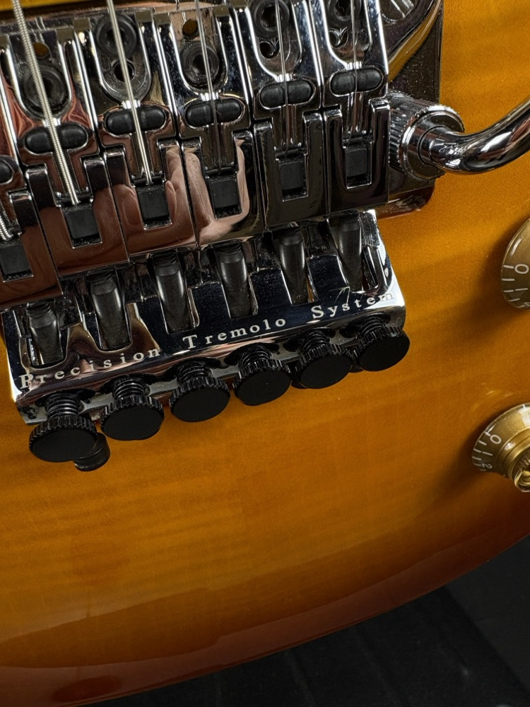 Epiphone Alex Lifeson Les Paul Axcess Viceroy Brown w/OHSC &mdash; view 4