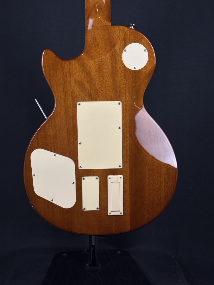 Epiphone Alex Lifeson Les Paul Axcess Viceroy Brown w/OHSC &mdash; view 8