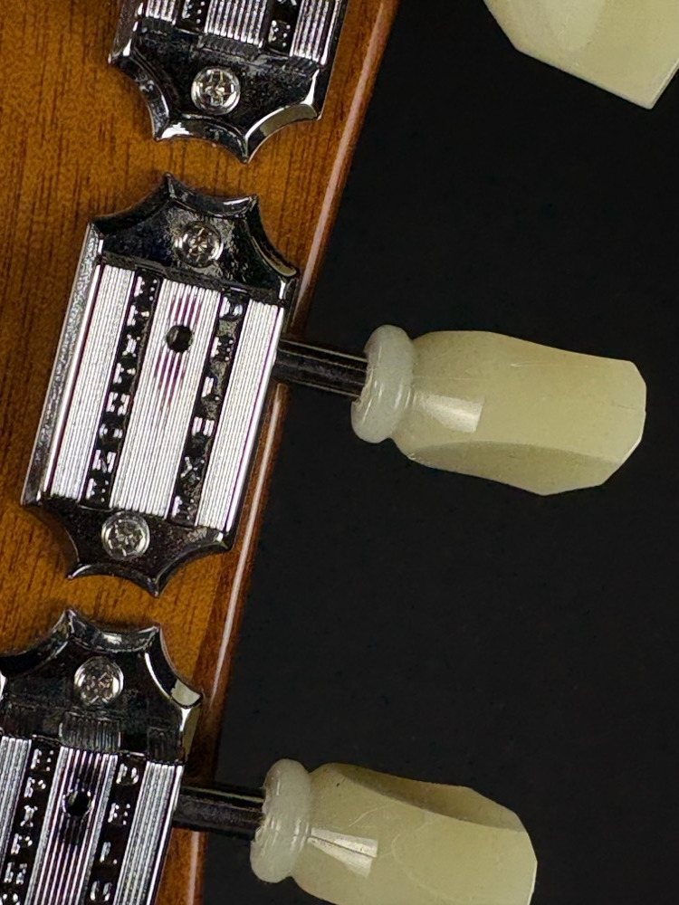 Epiphone Alex Lifeson Les Paul Axcess Viceroy Brown w/OHSC &mdash; view 9