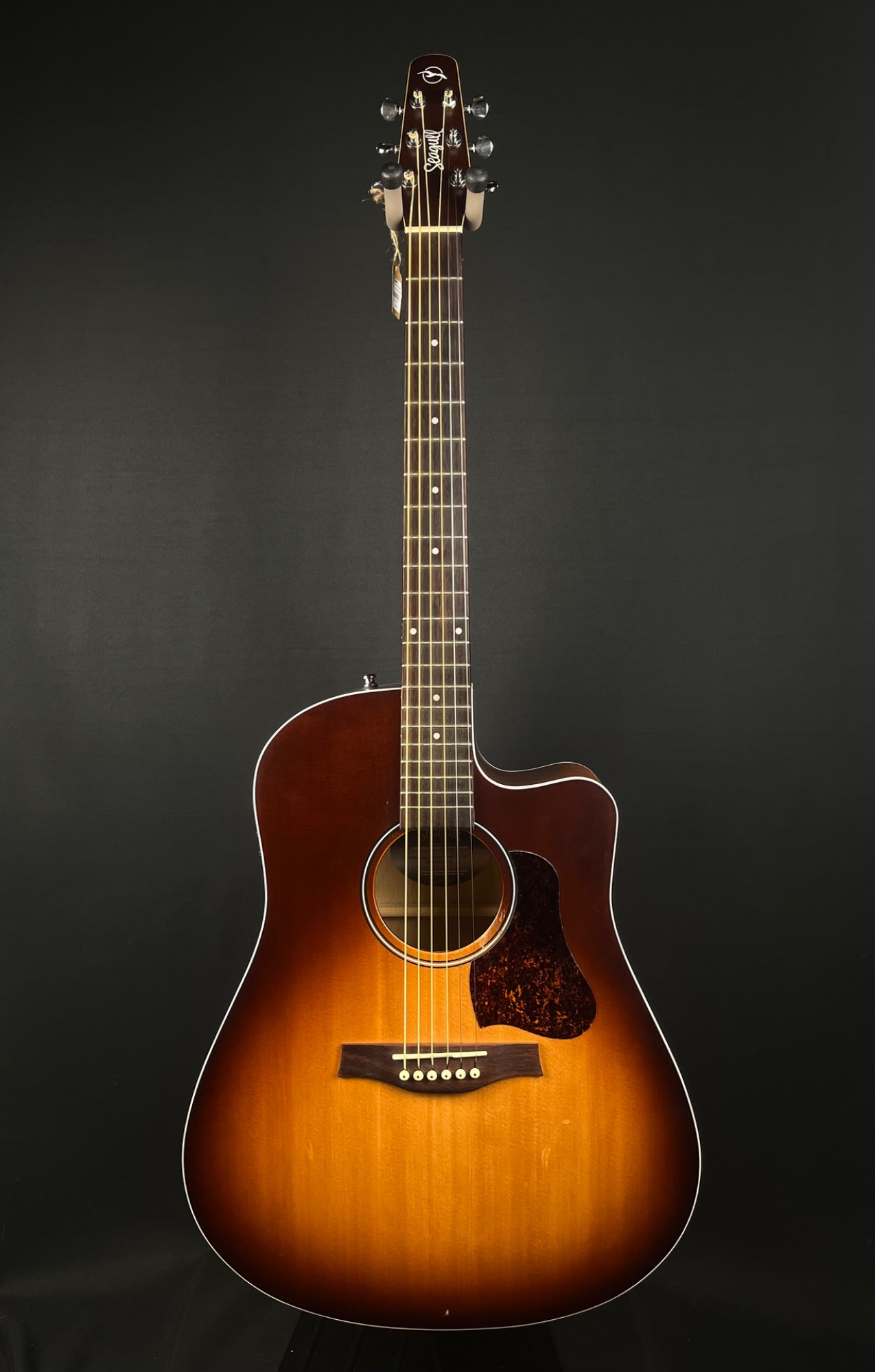 Seagull Entourage Cutaway Acoustic Guitar with QIT - Autumn Burst