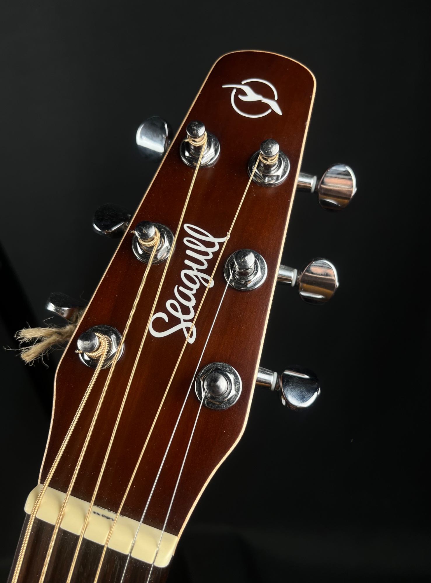 Seagull Entourage Cutaway Acoustic Guitar with QIT - Autumn Burst &mdash; view 4