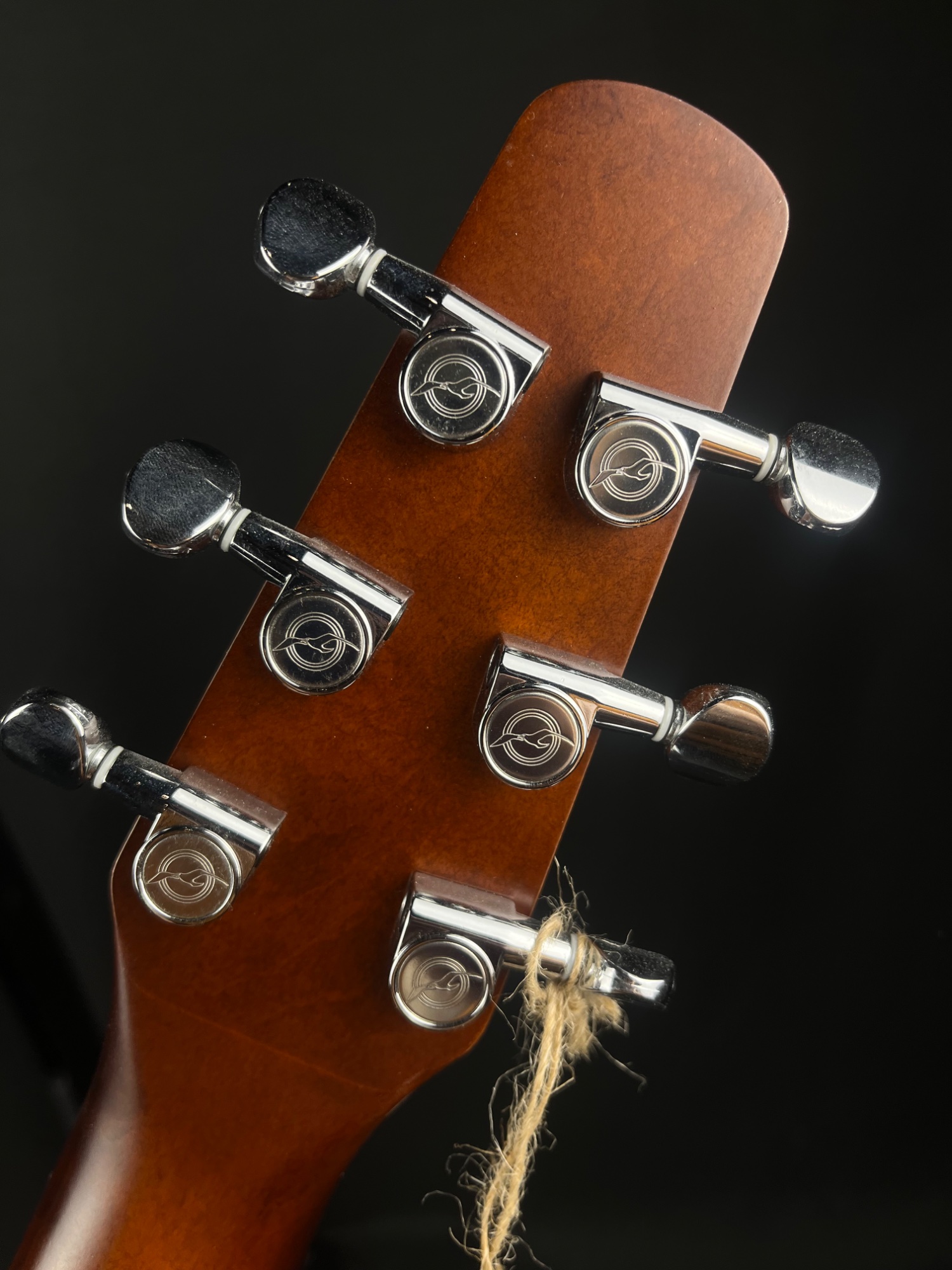Seagull Entourage Cutaway Acoustic Guitar with QIT - Autumn Burst &mdash; view 6