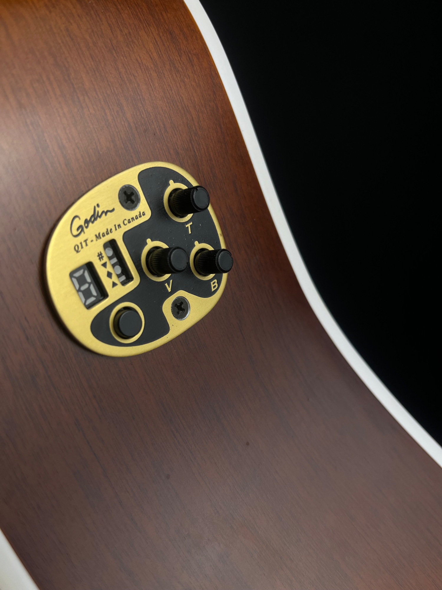 Seagull Entourage Cutaway Acoustic Guitar with QIT - Autumn Burst &mdash; view 8