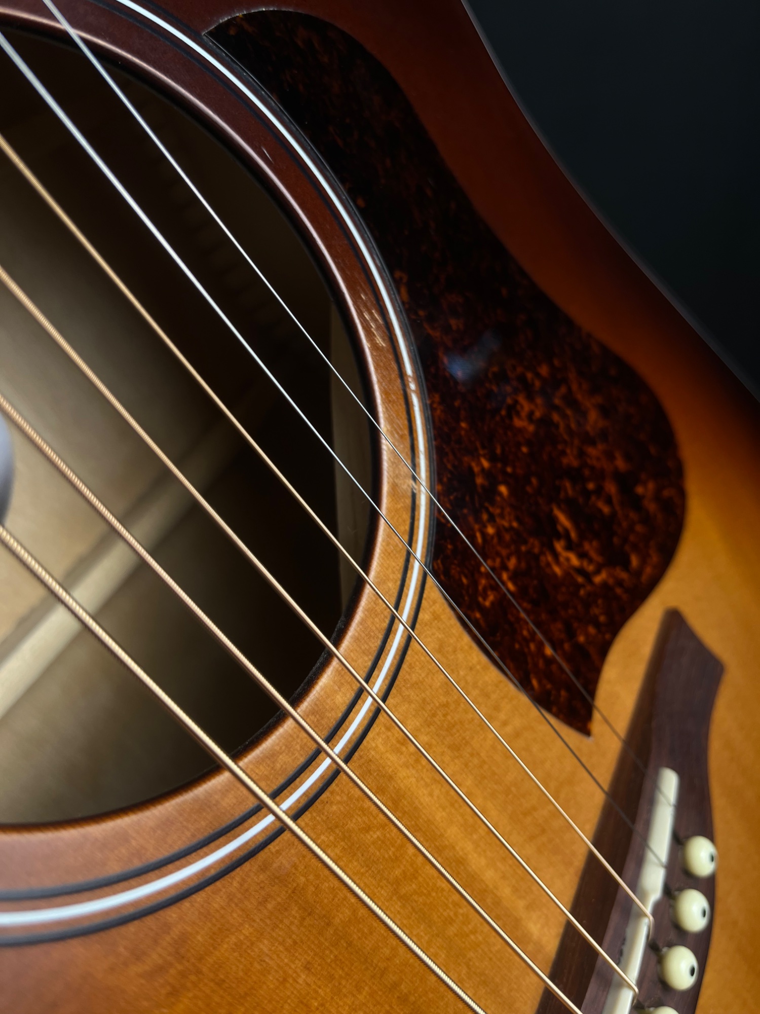Seagull Entourage Cutaway Acoustic Guitar with QIT - Autumn Burst &mdash; view 9